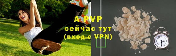 мдпв Магас