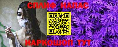 амф Дубна