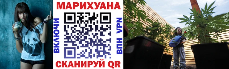 Бошки марихуана план  Еманжелинск 